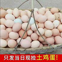 (40 Loaded) farmhouse loose with authentic large home-made eggs 10-40 fresh and bulky eggs whole boxes.