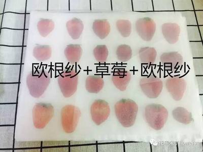 欧根纱纱布搭配压花板押花器压制草莓柠檬猕猴桃等水果蔬菜用 虎窝淘