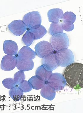 绣球植物标本滴胶未了flower干花