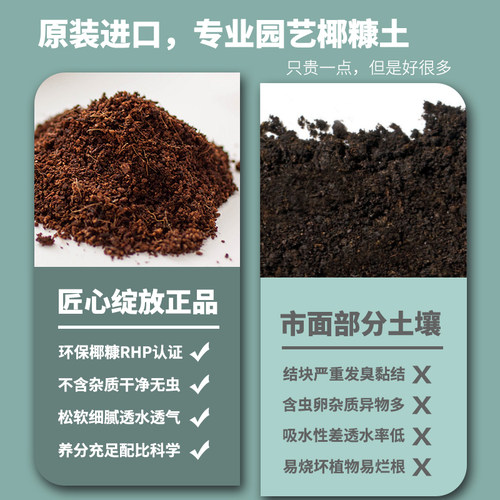 IAM 儿童种植盆栽番茄黄瓜植物观察日记阳台种菜 进口土壤免移栽 - 图3