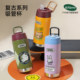 Thermosaurus retro series water cup 316L