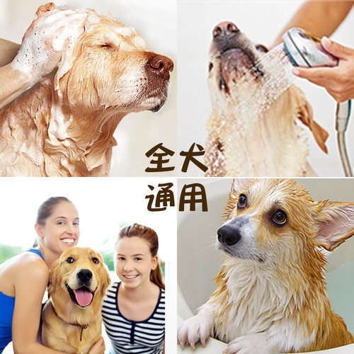 狗狗 沐浴露洗澡杀菌除臭 泰迪比熊金毛萨摩耶宠物香波清洁用品 - 图2