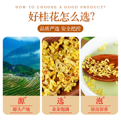 正品精选新货精选桂花干花农家天然酸梅汤原料桂花干花药食两用 - 图1