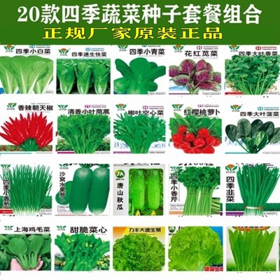 蔬菜种孑农家辣椒番茄黄瓜盆栽西红柿韭菜香菜四季菜种籽大全种子 - 图2