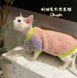 Крем - это безволосочный сафактор, домашняя кошка, новогодняя одежда для волос, теплая бесплатная доставка