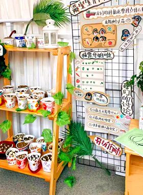 幼儿园自然角植物培养区多层陈列展示架环创布置diy实木摆台花架