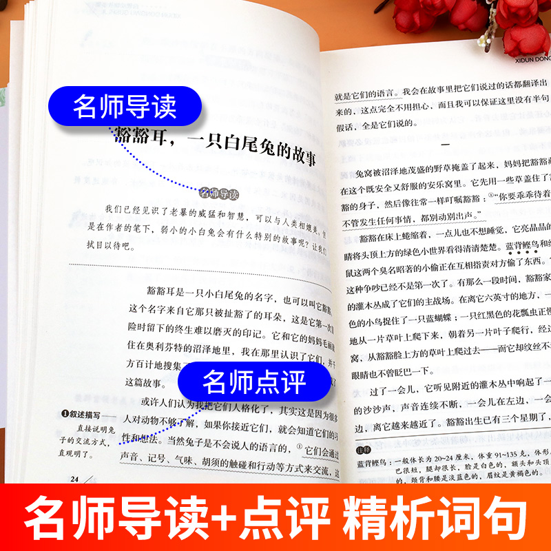 西顿动物故事集西顿动物记西顿野生动物故事集动物小说全集三四五六年级课外书必读小学生课外阅读书籍儿童书籍文学读物故事书-图1