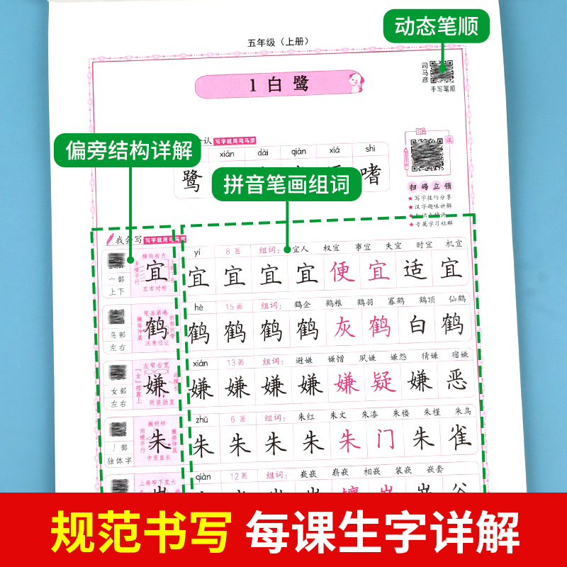 2024新版司马彦字帖语文写字课课练小学生一二三四五六年级上下册人教版教材同步练字帖作业本钢笔练字临摹描红硬笔书法练字本楷书-图2