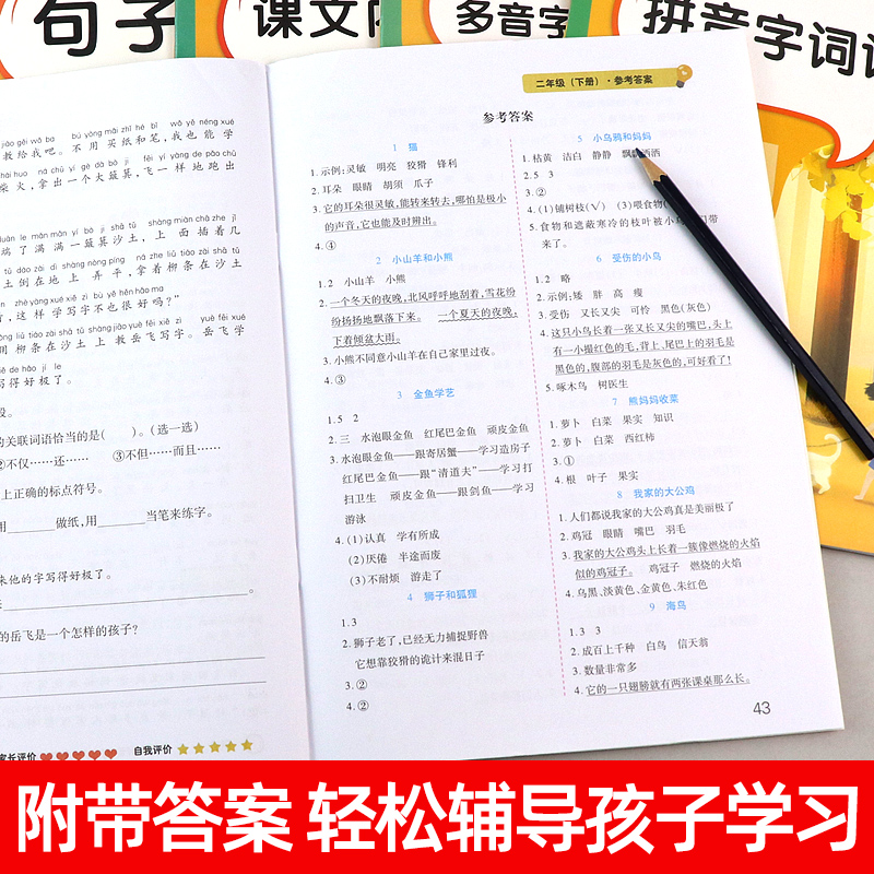 二年级语文专项训练同步课外阅读理解每日一练强化人教版词语仿写句子排序造句专项练习书标点符号照样子写句子近义词反义词大全下-图3