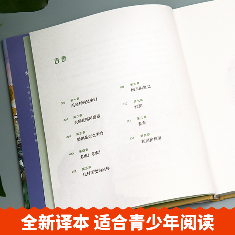 精装硬壳 丛林历险记 国际大奖说获奖儿童文学小学生课外阅读书籍三四五年级必读老师推荐8-12经典冒险故事书 - 图1