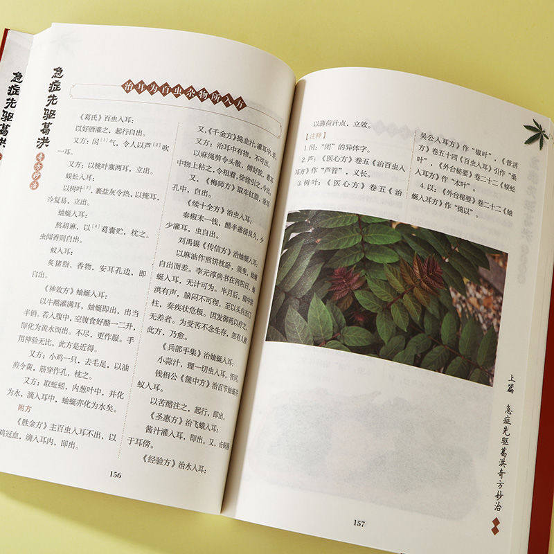 【全彩升级】肘后备急方正版白话文全书文言文带注释 中国第一部急诊手册全彩古代中医方剂经典著作 急症先驱葛洪奇方妙治一效难求