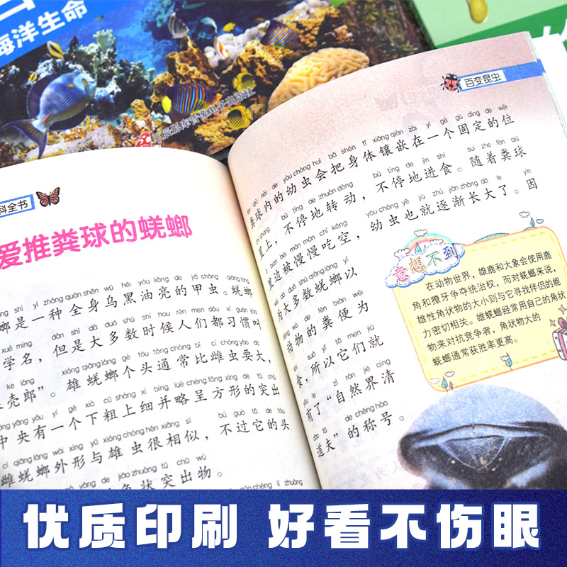 全套12册儿童课外阅读书籍一年级二年级课外书必读老师推荐正版注音版小学生科普百科全书读物 带拼音的故事书绘本6-7一8-10岁以上 - 图2