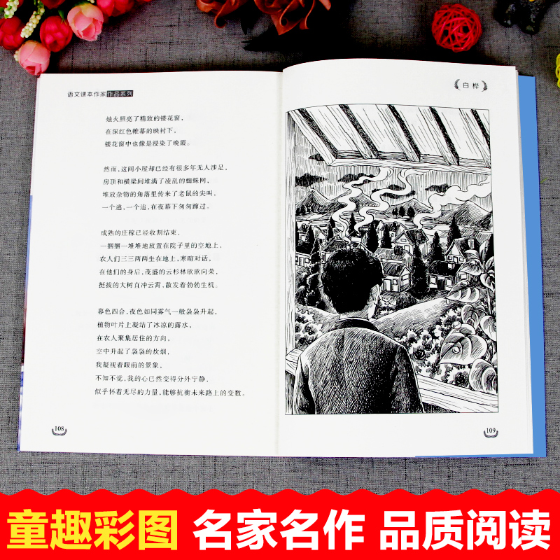 白桦 叶赛宁著 四年级阅读课外书必读老师推荐正版下册 适合四年级的小学语文同步课外阅读书籍人教版书目上册 - 图2