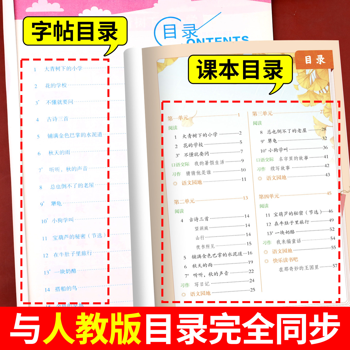 三年级上册字帖人教版配套 小学语文3上学期同步练字帖每日一练部编版 小学生专用练习册写字课课练专项控笔训练写字帖钢笔临摹