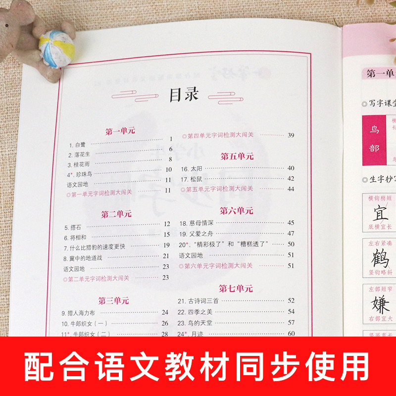 一笔好字 五年级上册字帖人教版同步课本生字硬笔书法练习汉字 罗杨描红本笔画笔顺练字帖 小学生5年级控笔训练写字帖儿童每日一练