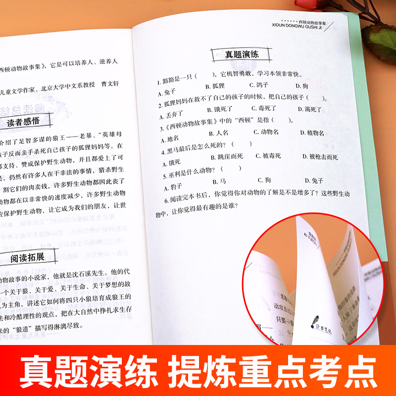 西顿动物故事集西顿动物记西顿野生动物故事集动物小说全集三四五六年级课外书必读小学生课外阅读书籍儿童书籍文学读物故事书-图3