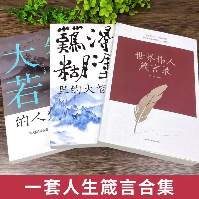 世界伟人箴言录+大智若愚的人生智慧+难得糊涂里的大智慧全3册正版书籍与圣贤对话智者同行成人励志书籍畅销书排行榜提升自己的书-图2