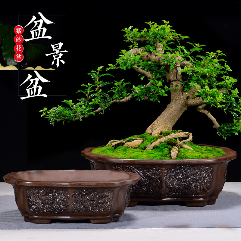 四方长方陶瓷盆景盆发财树金弹子多肉蝴蝶兰紫砂釉水花盆马槽包邮,淘宝优惠券,粉丝福利购,淘宝优惠卷