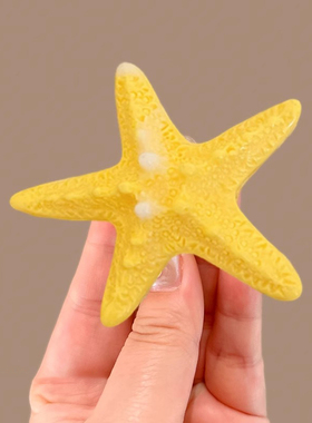 柠檬海星仿真贝壳海星边夹