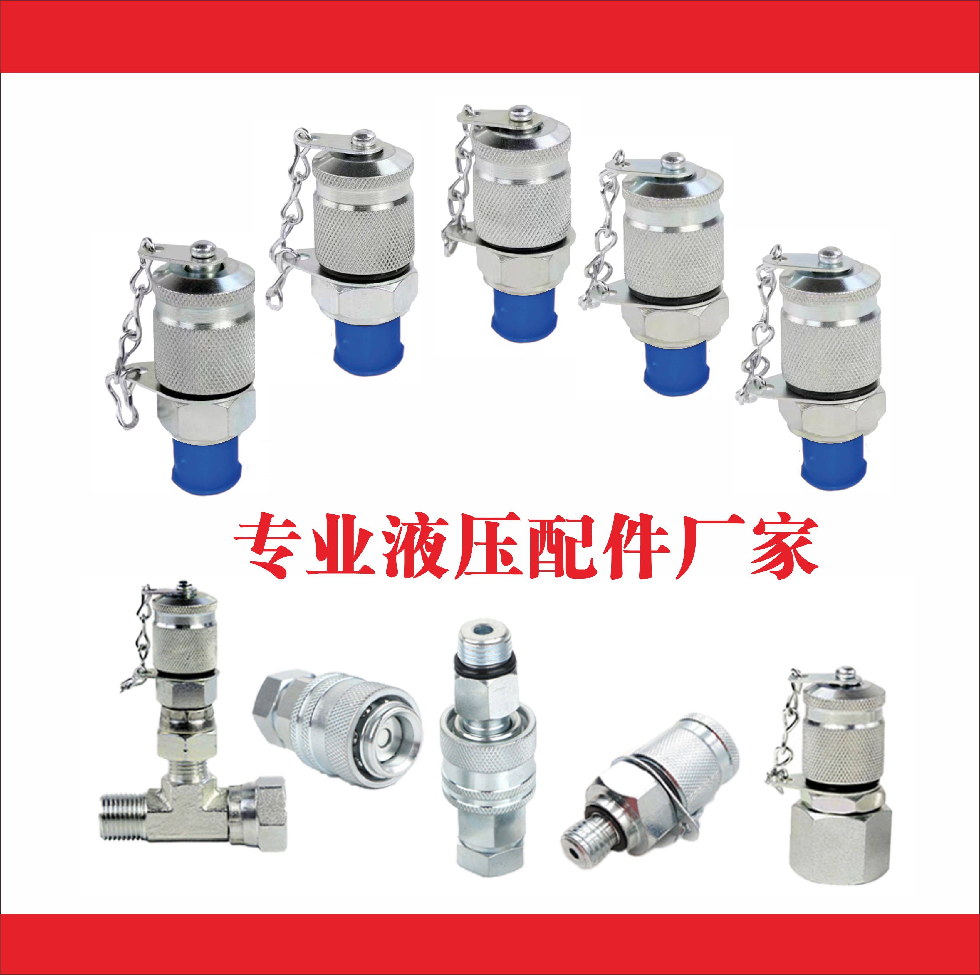 PT测压接头高压HF测压软管阀门接头压力表公制美制挖机配件,淘宝优惠券,粉丝福利购,淘宝优惠卷