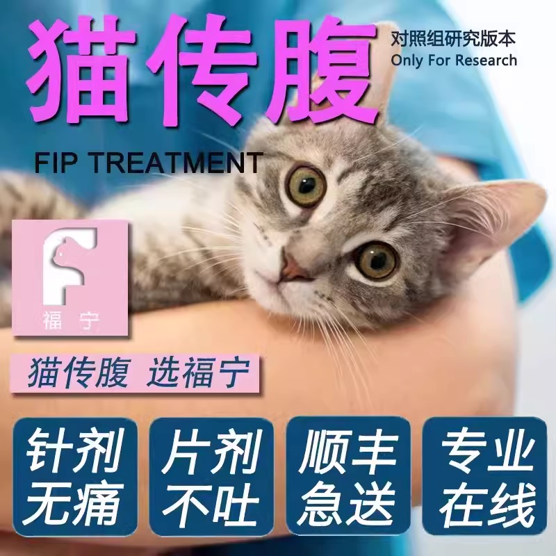 猫传腹针剂特效针口服片剂2024营养液湿性干性消腹水腹膜炎猫咪 - 图1