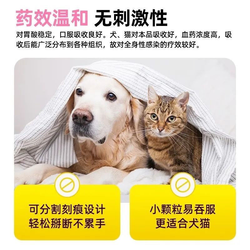 速诺猫咪消炎片阿莫西林克拉维酸钾片宠物狗用50mg进口感冒消炎药 - 图1