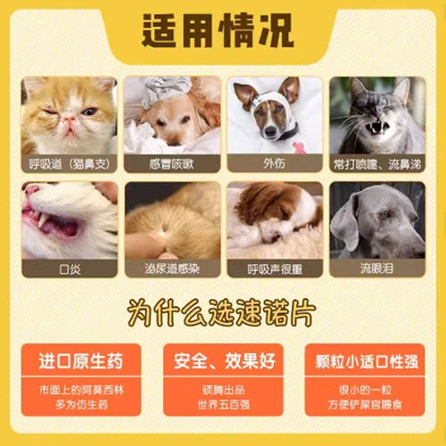 速诺猫咪消炎片阿莫西林克拉维酸钾片宠物狗用50mg进口感冒消炎药 - 图3