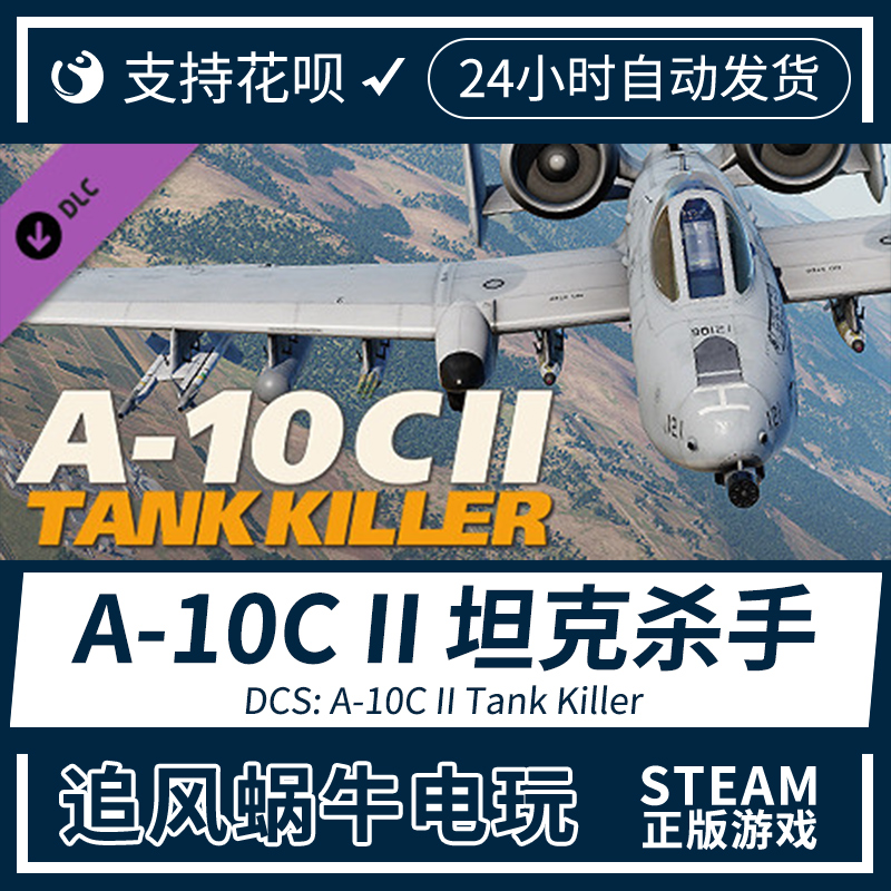 PC正版 steam  DCS: A-10C II Tank Killer  A10C2 坦克杀手 国区 - 图0