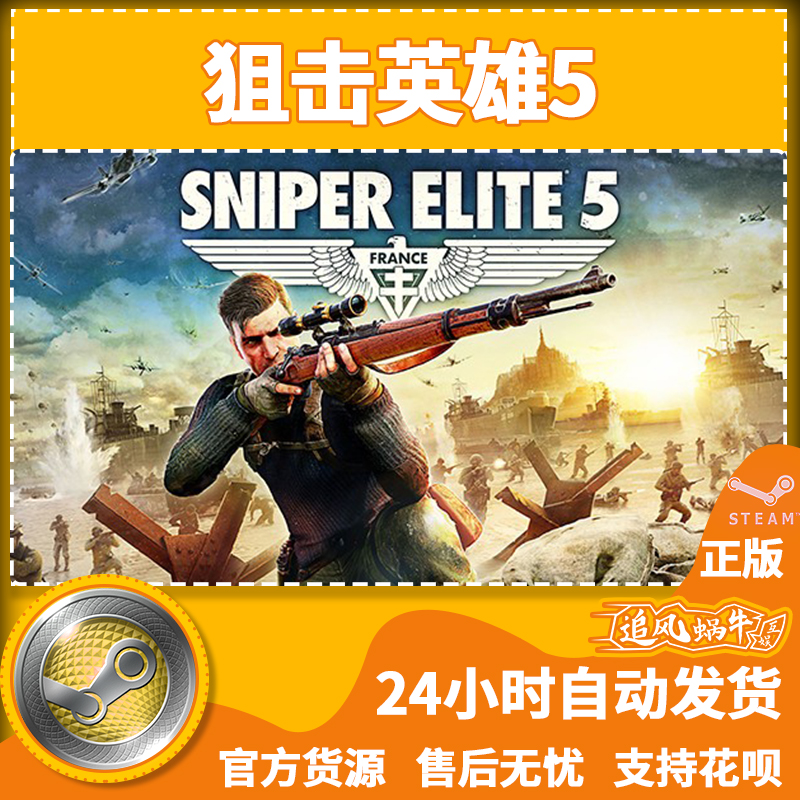 Steam正版游戏狙击英雄5 Sniper Elite 5-图1