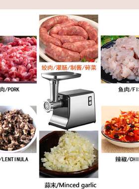 Meat Grinder出口家用电动绞肉机灌香肠机220V110V电压碎肉绞辣椒