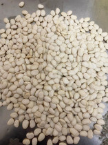 Eco-Chongming Island Rural home grown white lentils 1 catty of fresh day sundried white lentils shipped in time