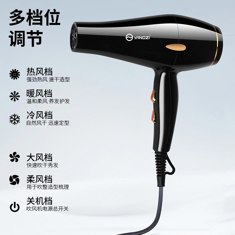 扬子吹风机高速蓝光水润护发NTC恒温电吹风低噪风大速干吹风筒,淘宝优惠券,粉丝福利购,淘宝优惠卷