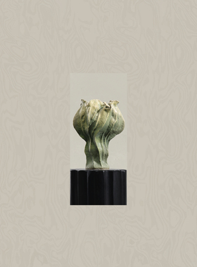 墨色林莽中古风绿系花客厅插花