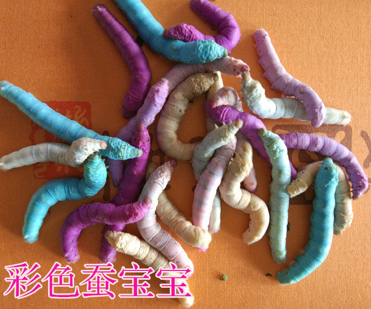 蚕宝宝彩色饲料搭配 黄紫红蓝色饲料10元包邮4色