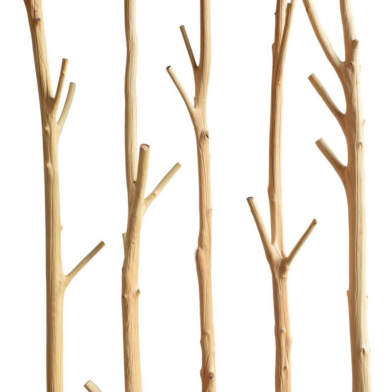 干树枝分叉枯枝原木装饰树衣架天然去皮壁挂干枝创意摆件树杈包邮 - 图3