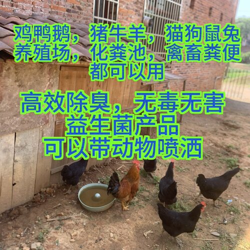 养殖场除臭剂兽用鸡舍猪场牛羊消毒液em菌除臭除氨气粪污水除异味 - 图0