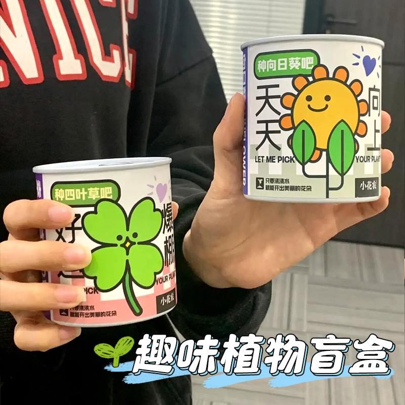 小盆栽儿童种植diy幼儿园植物角生长观察室内小学生自种趣味盲盒 - 图2