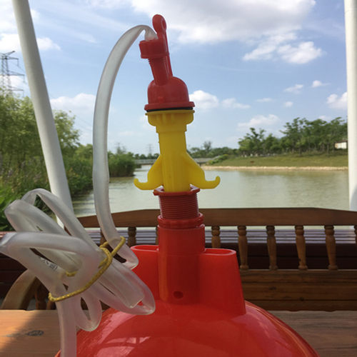沪式普拉松自动饮水器养鸡鸭鹅喂水器鸡用饮水器养鸡设备养殖用品 - 图1