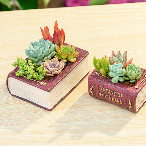 创意欧式复古多肉花盆小复古文学书抽屉个性多肉花器创意小礼物