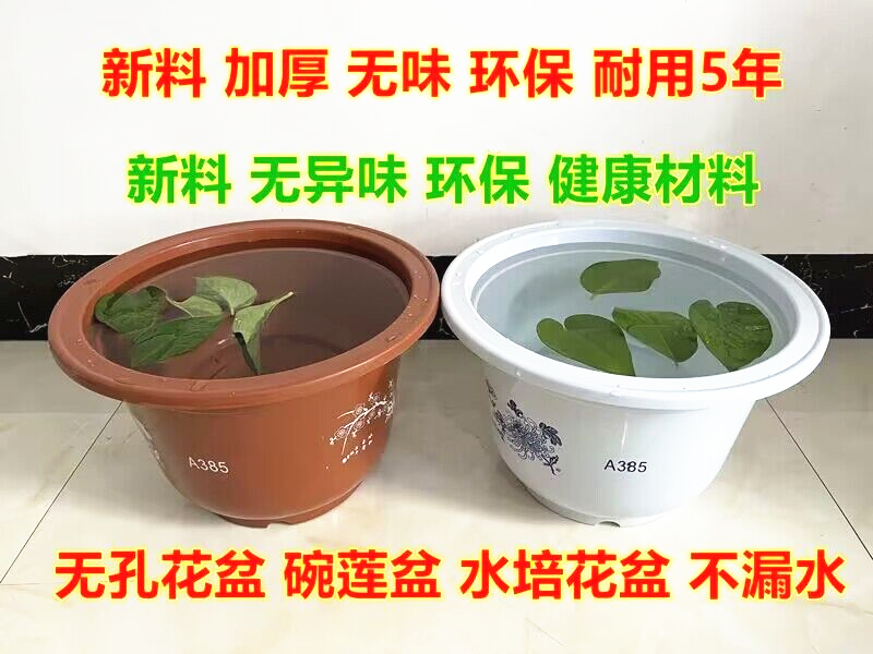 碗莲盆睡莲盆 塑料无孔花盆 不漏水大号圆形水培荷花植物水生花卉