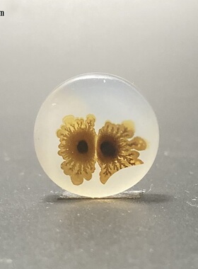 海洋玉髓镶嵌项链小吊坠戒面