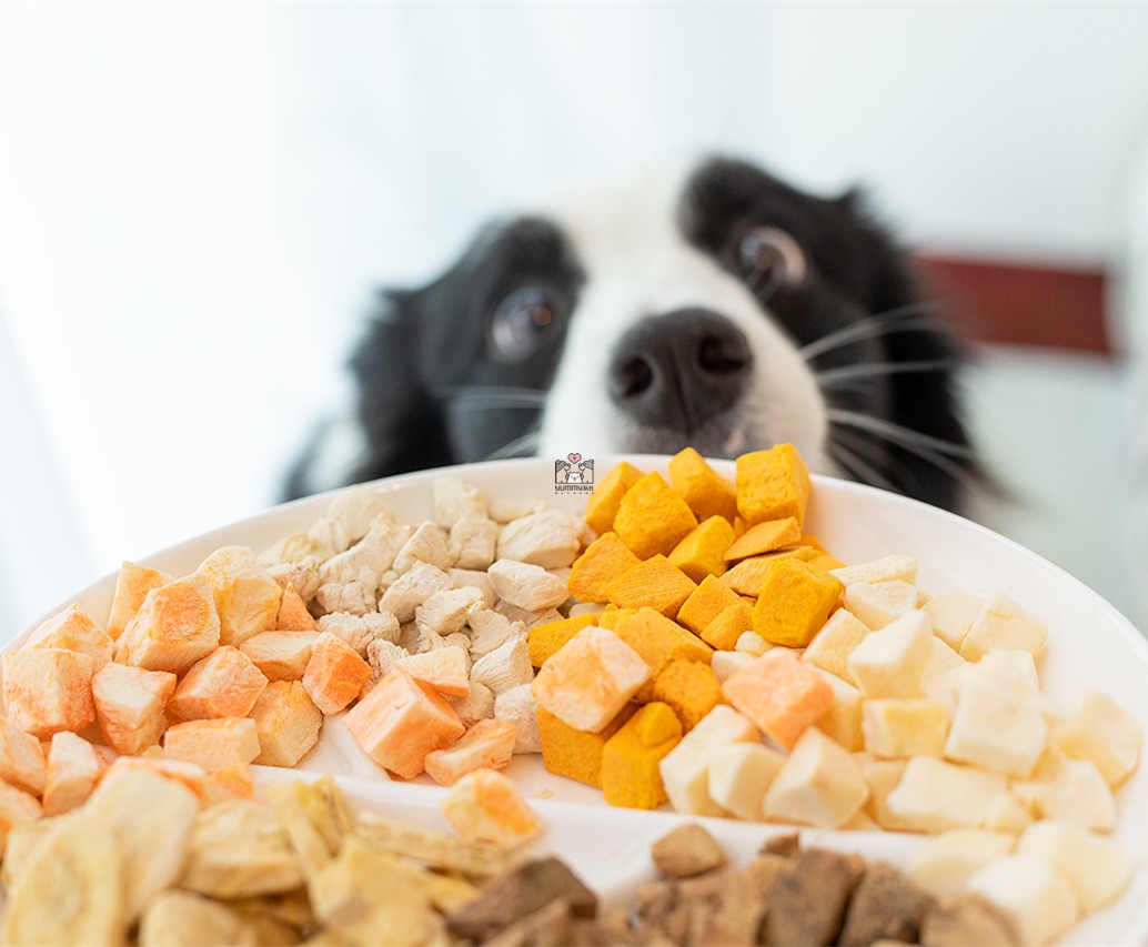 petio水果蔬菜冻干 宠物派地奥鸡胸肉干幼犬训犬奖励狗狗零食 - 图1