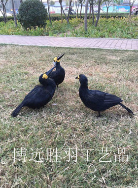 放着鸬鹚/鸬鹚鱼鹰摆件/园林装饰/家居摆件/水景装饰/标本模型/