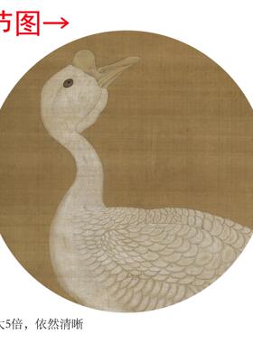 明代吕纪《狮头鹅图》客