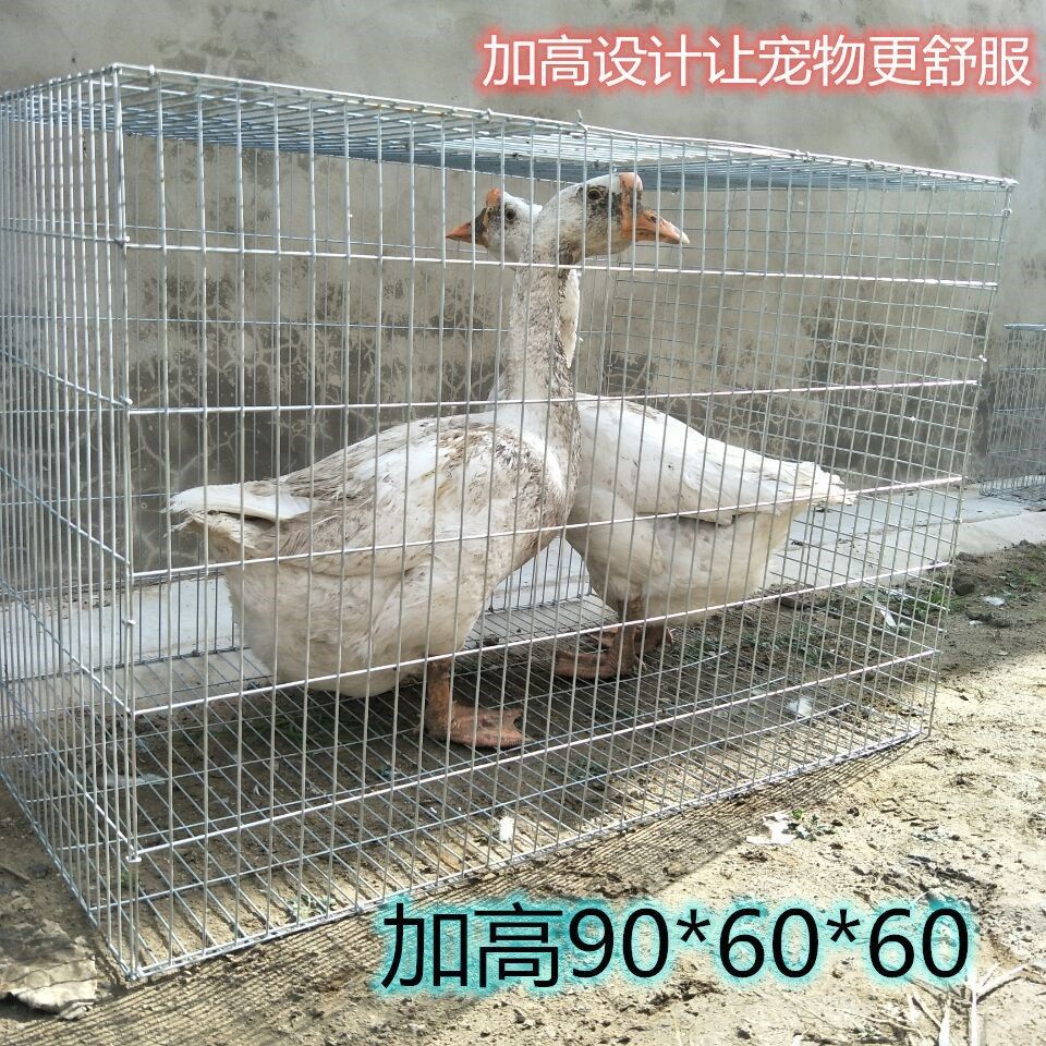 兔笼大号鸡笼家用鸽子养殖笼镀锌铁丝笼运输笼鹌鹑笼宠物兔笼大号 - 图2