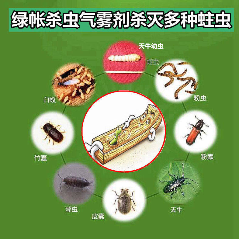 地板虫子药杀木头木门杀虫剂房梁防蛀木虫药沙发防虫蛀剂木材除虫
