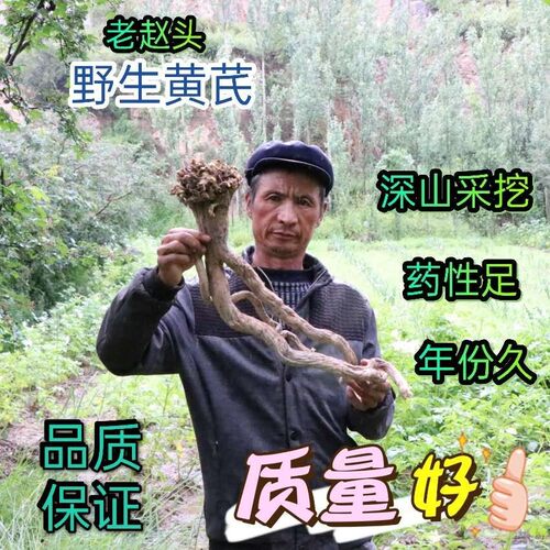 30年黄芪野生黄芪二根一斤2025北黄芪黄氏棉芪非正北芪黄芪500G - 图1