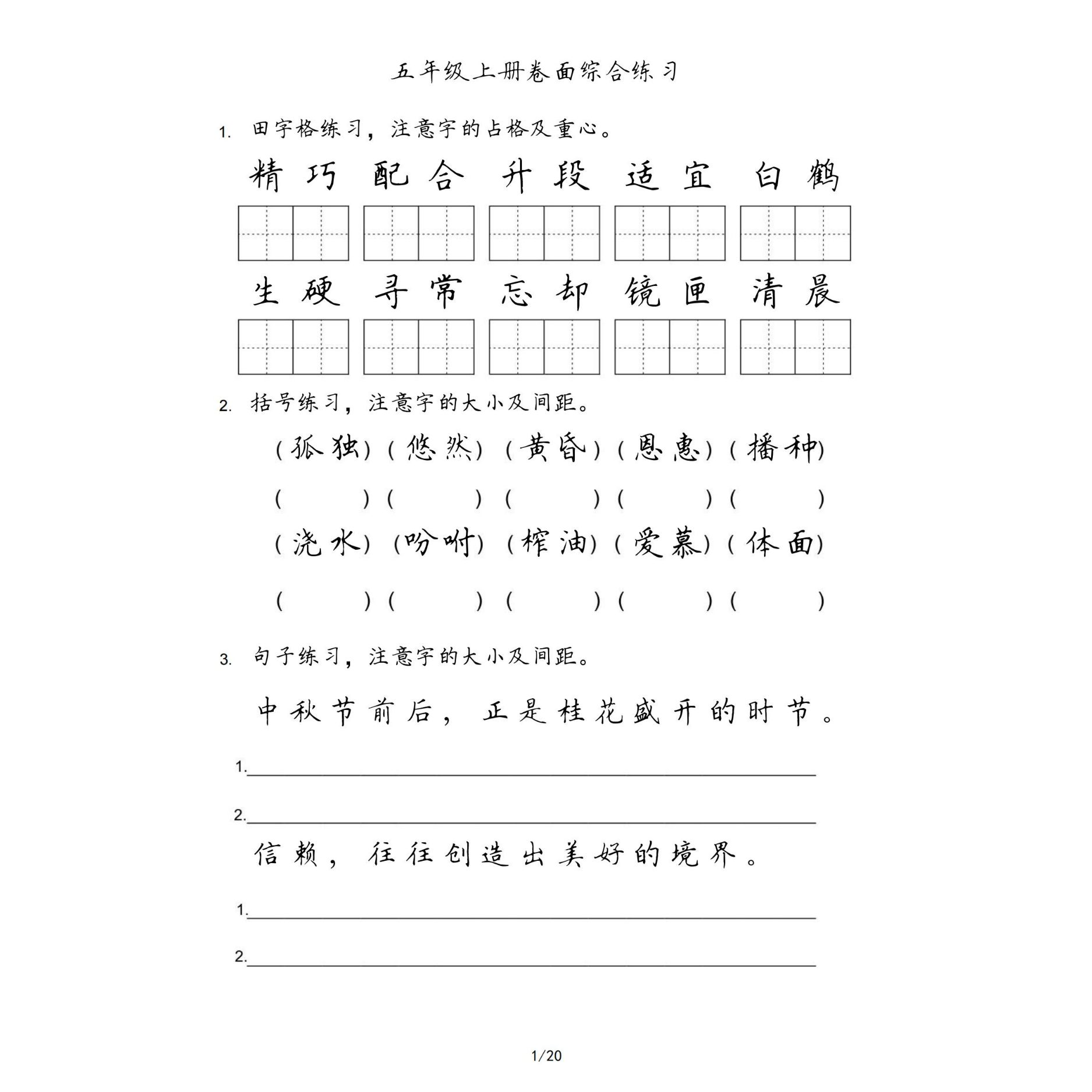 小学语文教材同步词语句子卷面书写提分综合硬笔练字帖高清电子版 - 图3