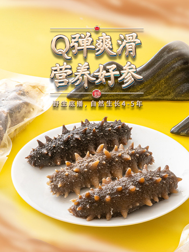 海滨小金新鲜食q 1500g克野生参 海滨小金旗舰海参