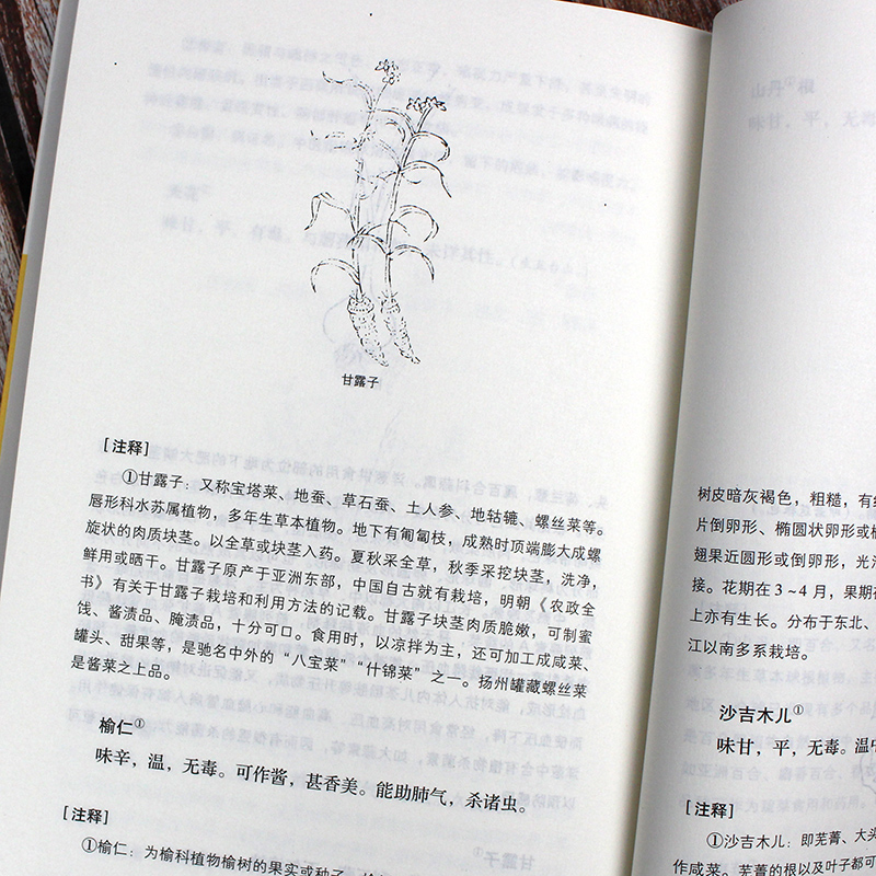 2本 饮膳正要 食疗本草古代营养学食疗专著 中华保健保养大全 古文原文注释译文文白对照评论 疑难注音中州古籍 药膳食谱 - 图1